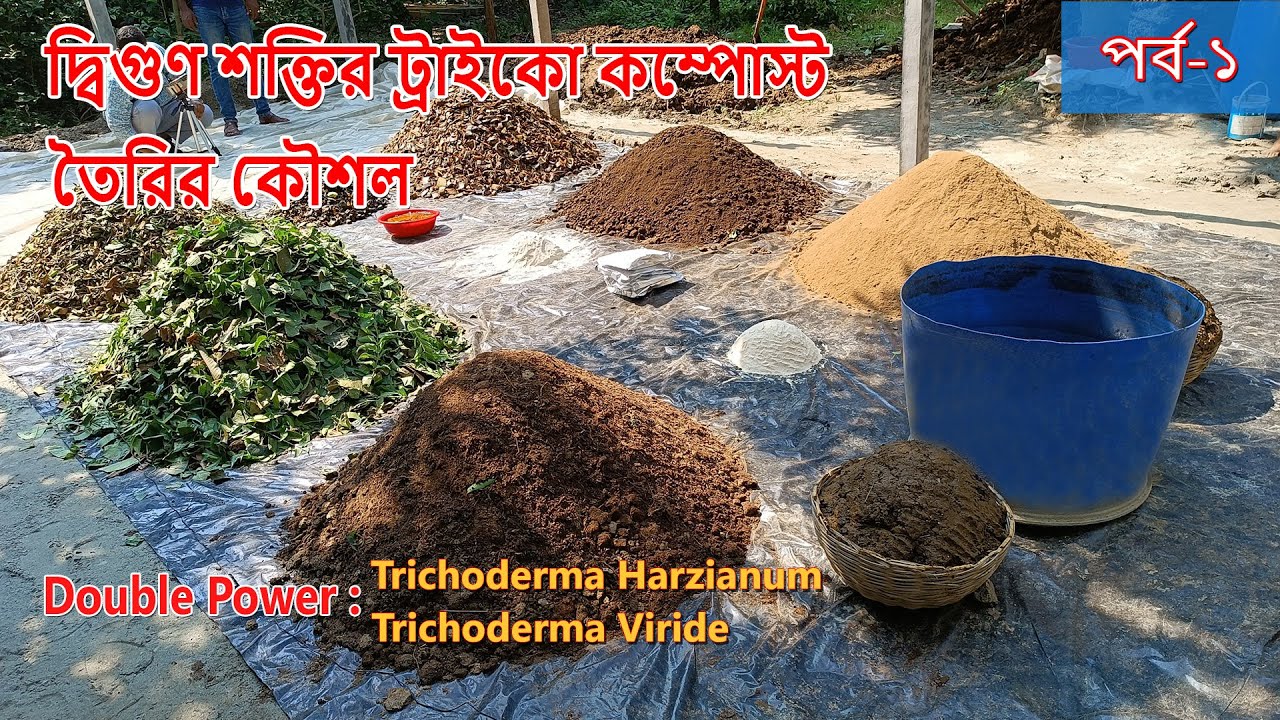 02_দ্বিগুণ শক্তির ট্রাইকো কম্পোস্ট তৈরির কৌশল, পর্ব-১ / Making Double Power Tricho Compost, Part-1