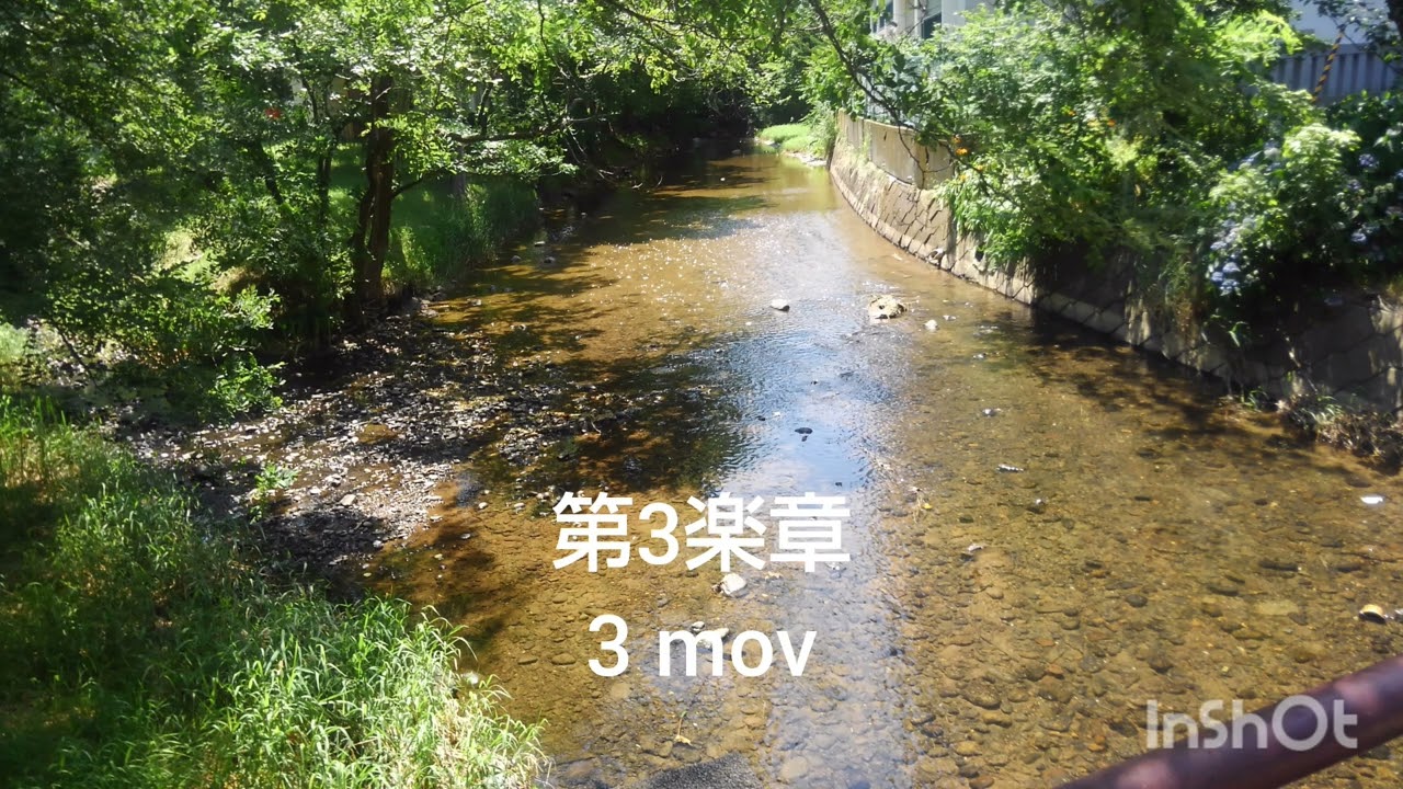 蕨　徹／クラリネットとピアノの為のソナタ第2番変ロ長調op292（2003）    T．Warabi／Sonate for Cla and Pf No2 op292