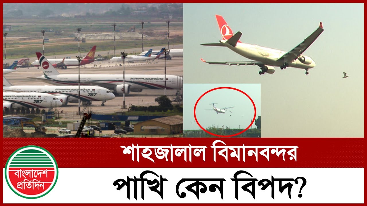 পাখি আ ত ঙ্কে বিমান, শাহজালালে বাড়ছে ঝুঁকি | Bird hit | Hazrat Shahjalal International Airport