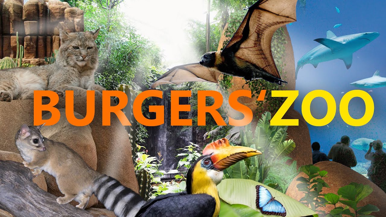 Burgers Zoo Arnheim - Außergewöhnlich und Spektakulär! | Zoo-Eindruck