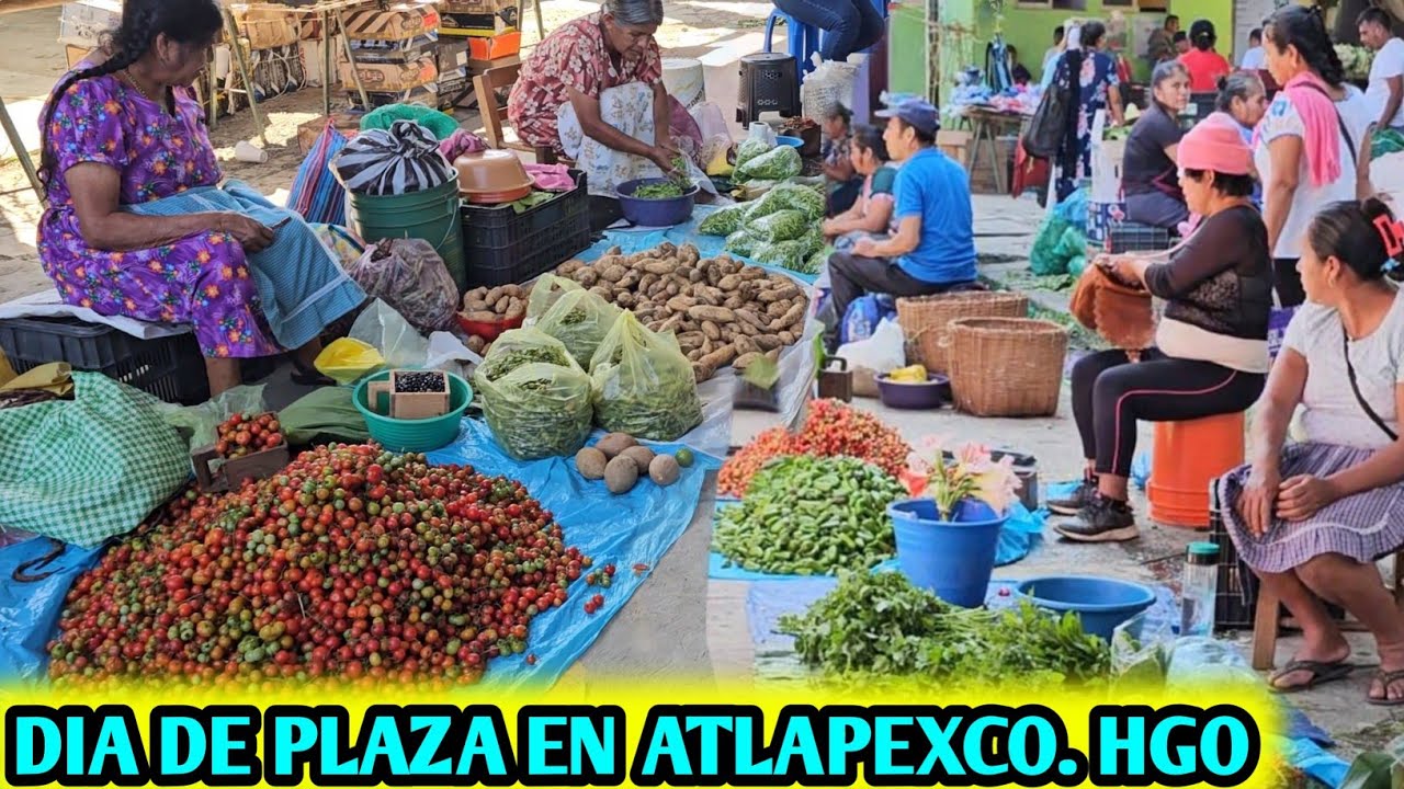QUE BONITO ES LA PLAZA DE ATLAPEXCO HGO QUE RICO SE VE TODO ESTO