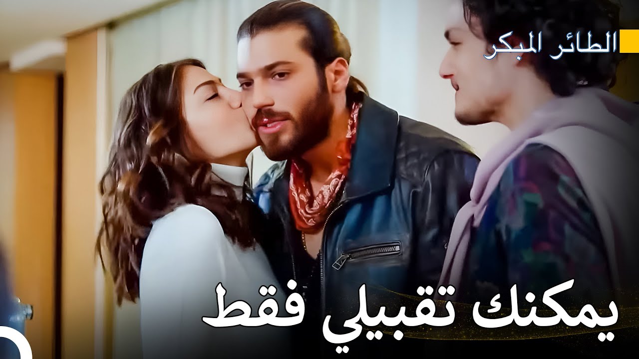 رحلة سينام للعثور على الحب #62 - سلسل الطائر المبكر