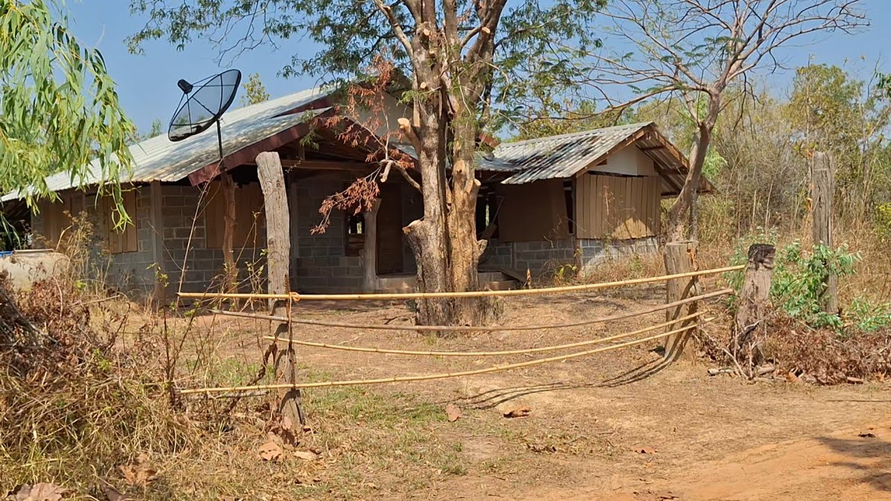 เลาะชมบรรยากาศ ถนนดินแดง ทางไปไร่ไปนา ชนบทอีสานใต้ อุบลราชธานี