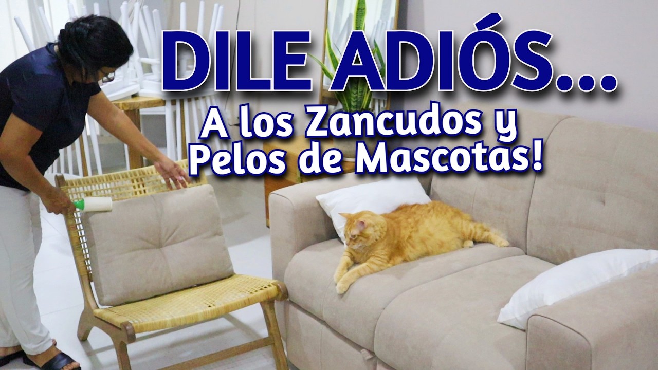 🟣 Cómo Eliminar Zancudos y Pelos de Mascotas Limpiando tu Casa en Segundos con MOPA y ASPIRADORA?