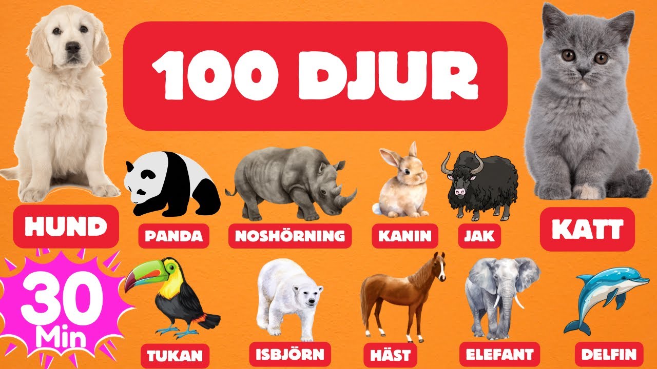 100 Popul&auml;ra Djur i V&auml;rlden | Svenska Ord F&ouml;r Barn | Djurnamn Att L&auml;ra Sig!