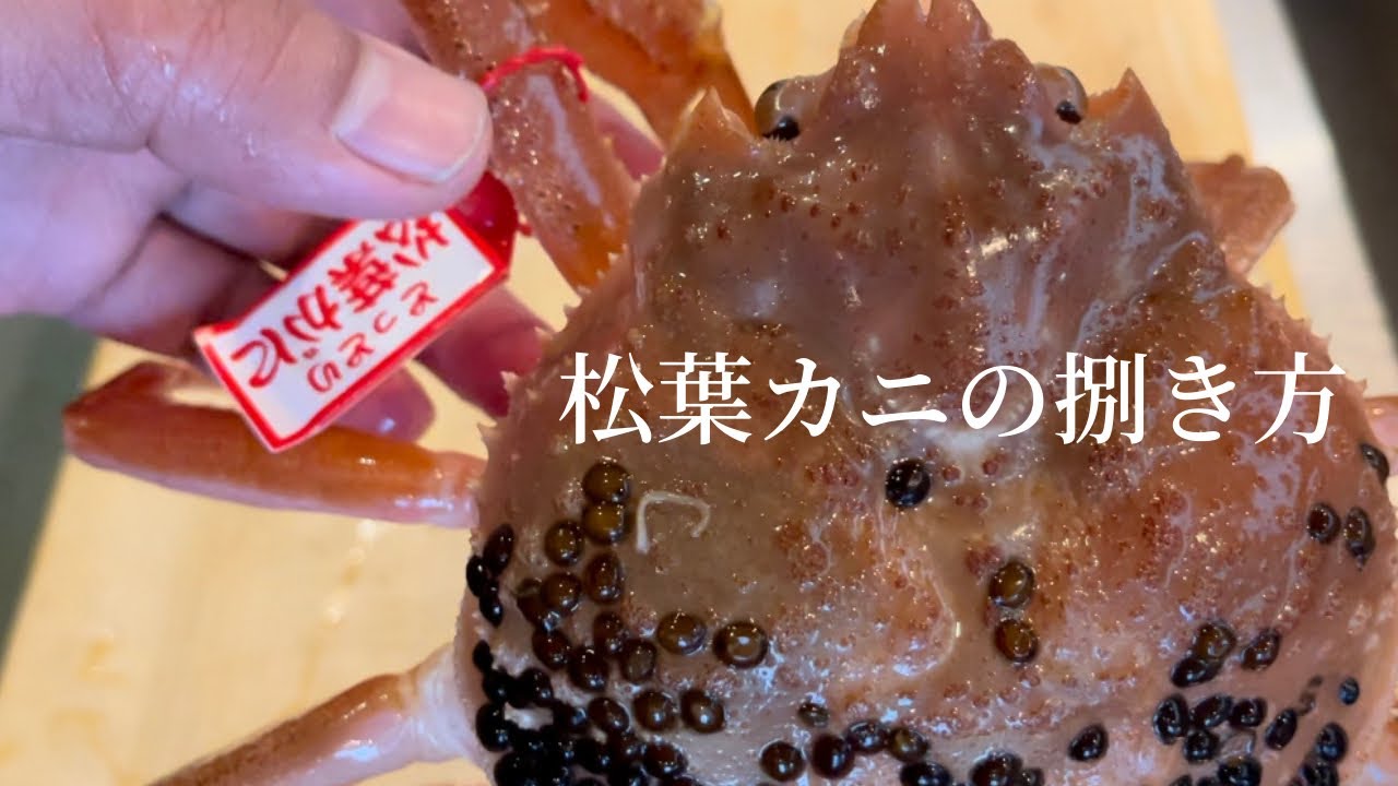 【松葉蟹】購入する時のプロの目利き　加熱方法　包丁で切って提供のやり方