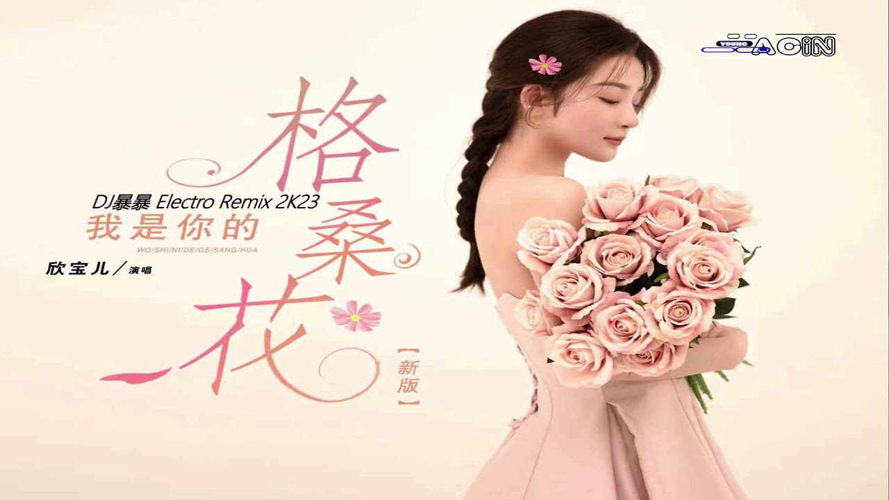 欣宝儿 - 我是你的格桑花(DJ暴暴 Electro Remix 2K23)Xin Bao Er -Wo Shi Ni De Ge Sang Hua(DJ Bao Bao Electro Remix)