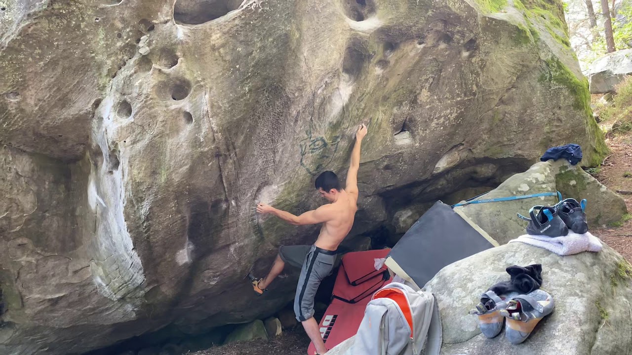 Fontainebleau - Hibernatus (7B) - Dame Jouanne