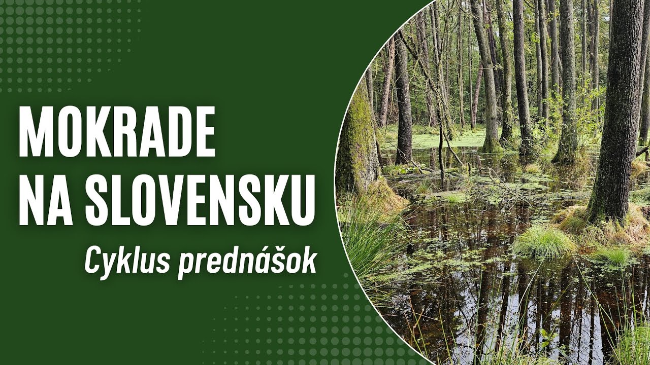 Mokrade na Slovensku