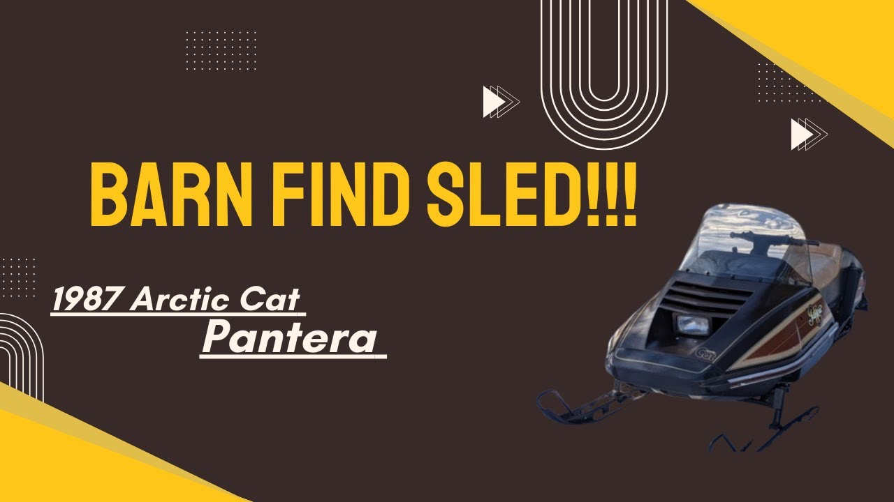 RARE BARNFIND!!! 1987 ARCTIC CAT PANTERA!!!