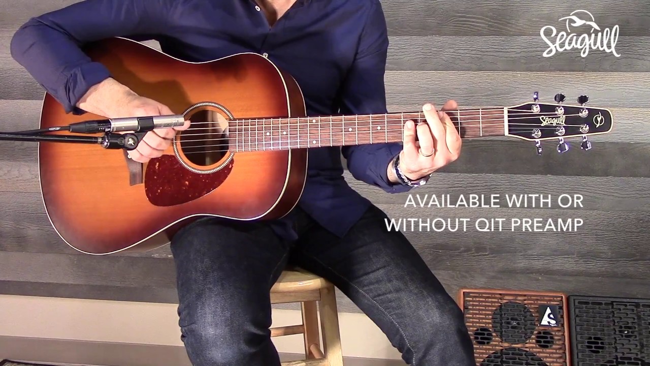 Demoing the Seagull Entourage Rustic