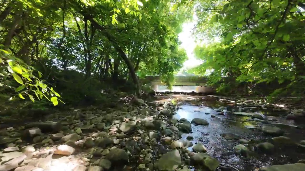 DJI Avata 2 - Fun on the river