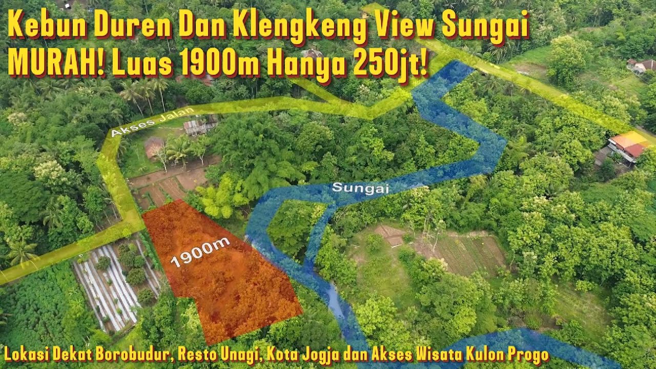 Tanah Murah! Kebun Buah di Banjaroyo Kalibawang! Luas 1900m Hanya 250jt! Dekat Borobudur!