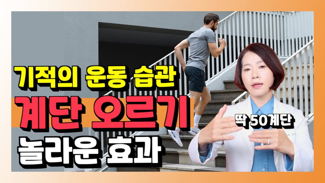 만보 걷기 보다 계단 오르기가 더 좋다? 기적의 운동 습관 계단 오르기의 놀라운 효과 - 건강을 부탁해