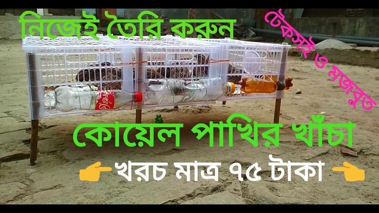 নিজেই তৈরি করুন কোয়েল পাখির খাঁচা 🔥 Make your own quail bird cage