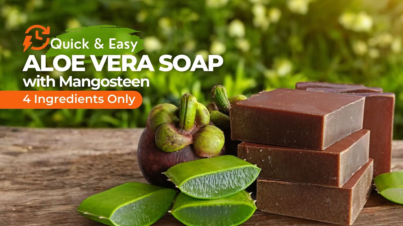Quick and Easy Aloe vera Soap with Mangosteen That You Can Make at Home