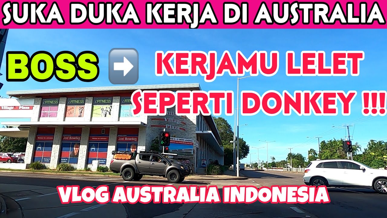 KERJA CUCI PIRING DI AUSTRALIA | KITCHEN HAND IN AUSTRALIA | GAJI PER JAM CUCI PIRING DI AUSTRALIA