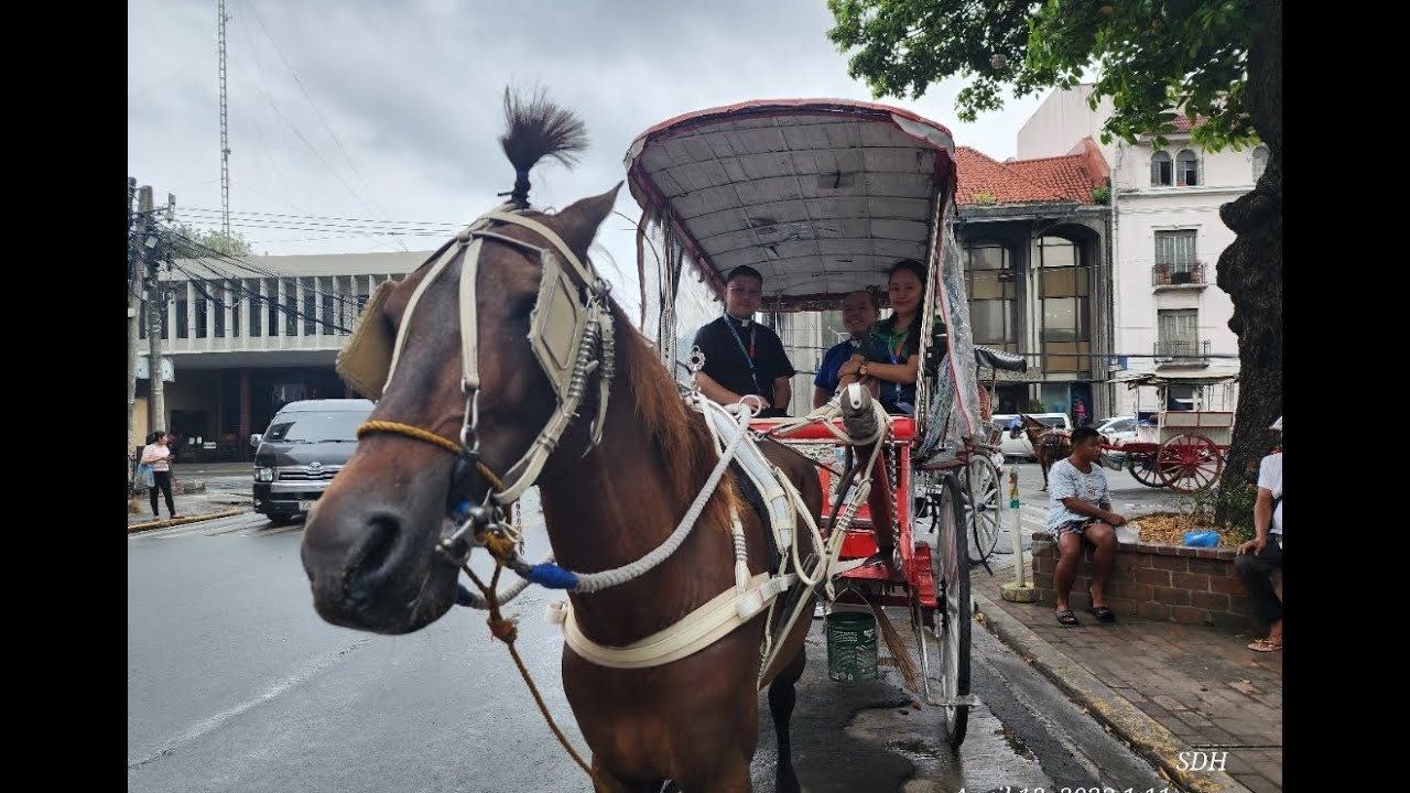 RIDING A CALESA AROUND OLD STREETS IN MANILA| laag sa ta diri kai gimingaw na sa Pinas|Shie Felices