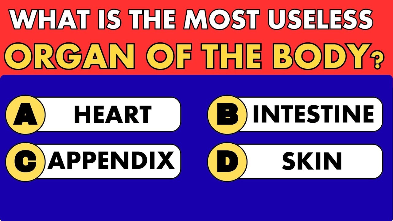 YOUR MEMORY IS AMAZING IF YOU CAN PASS THIS QUIZ? #generalknowledge