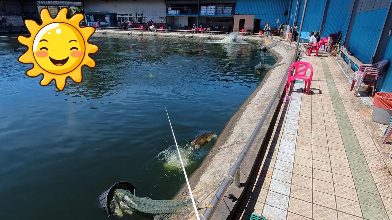 再戰大湖海釣場