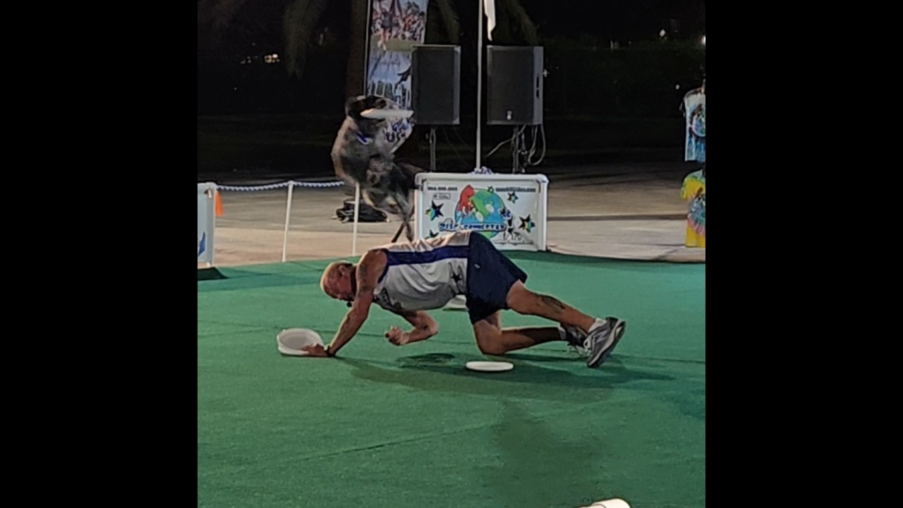 Border Collie Nails Frisbee Tricks at Miami Youth Fair 2025 | Disc Dog Performance. #dog #frisbee
