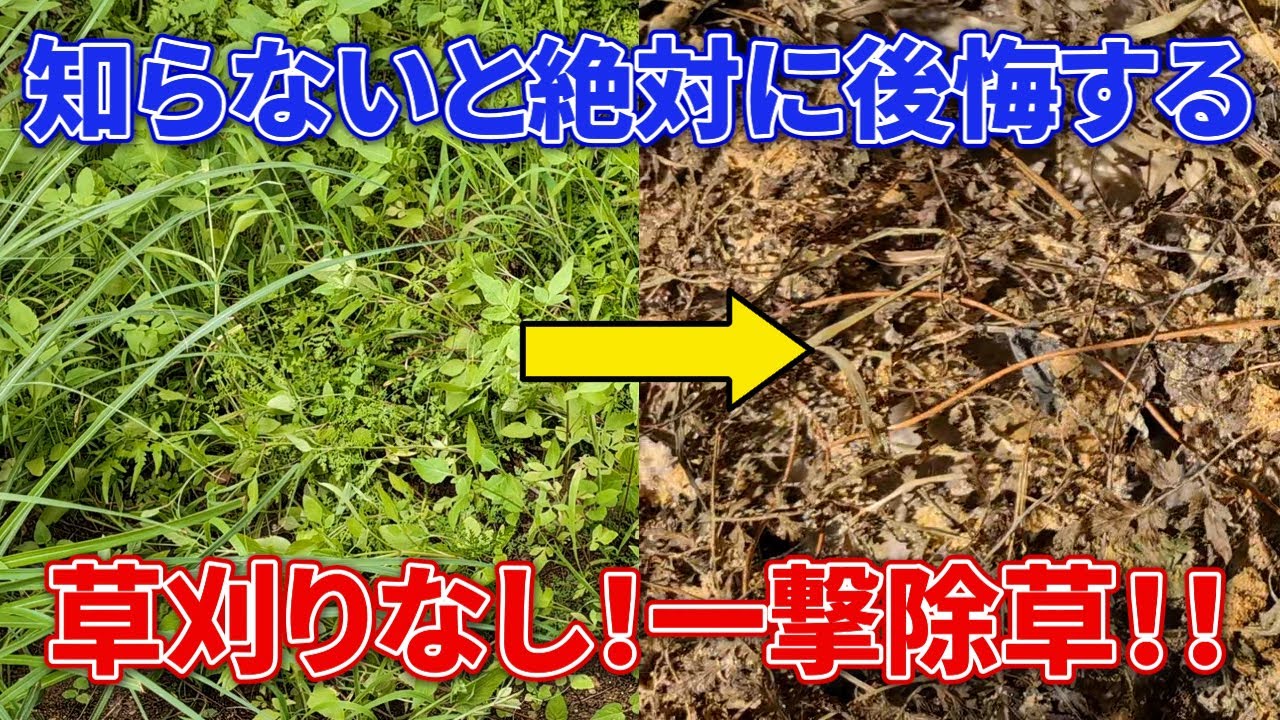 【家庭菜園向け】草刈りなし！一撃で雑草をなくす方法【材料3つだけ】