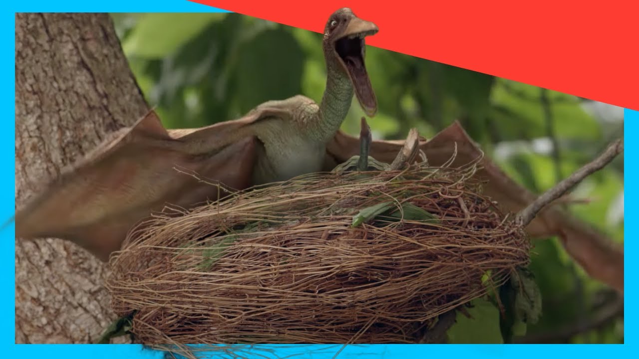 🦖 Малыш птеродактиль учится летать! 🪽 | Dino Kids | Шоу с динозаврами для детей