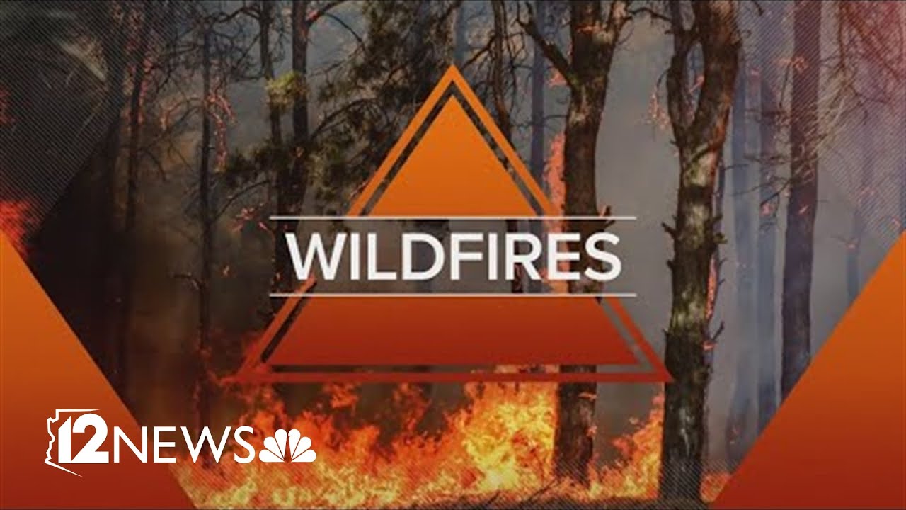 Wildfires burning in Arizona: Morning update for Aug. 5
