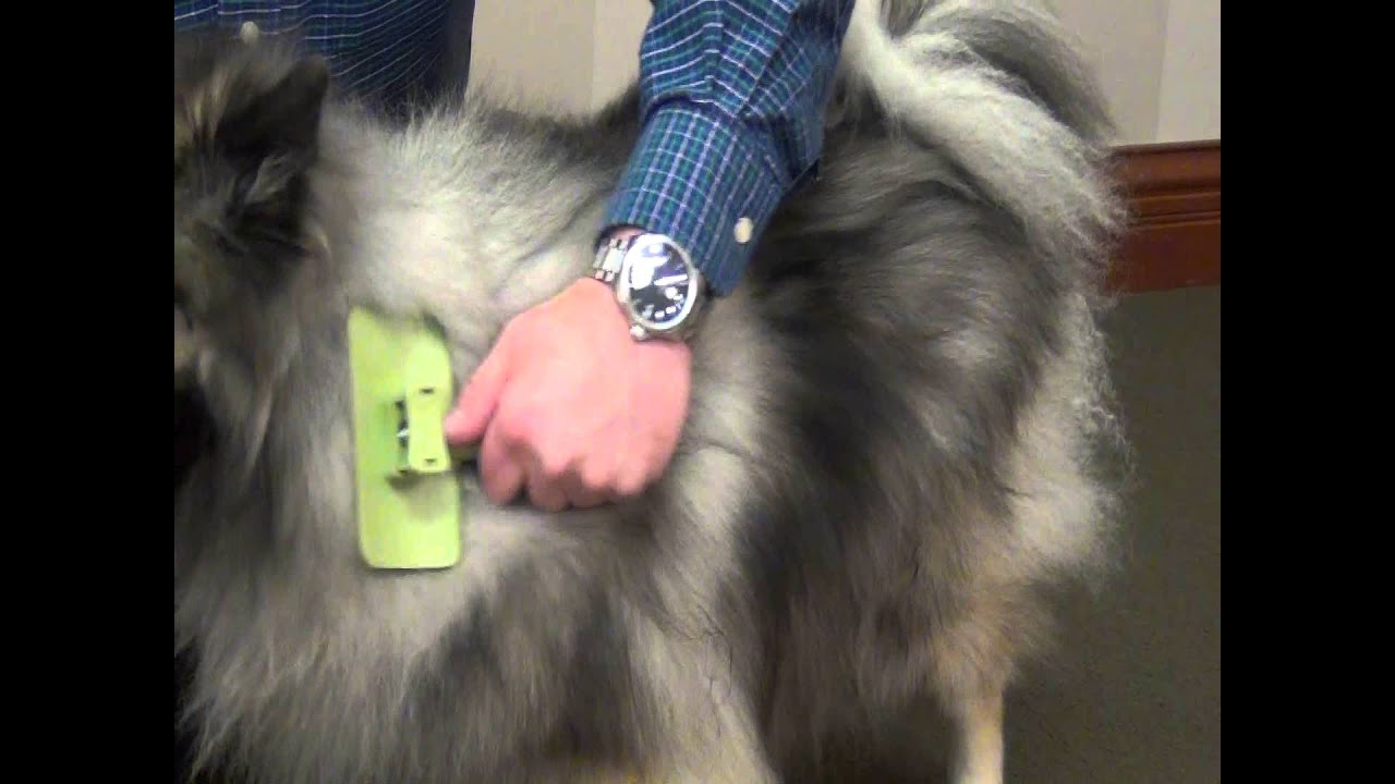 Safari&reg; Self-Cleaning Slicker Brush