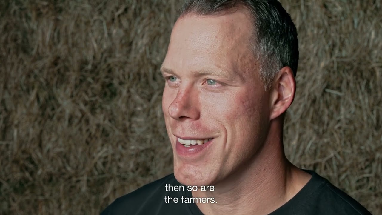 Emmentaler AOP dairy farmers, 2:00 pm, personal attention for the animals: cattle cuddles