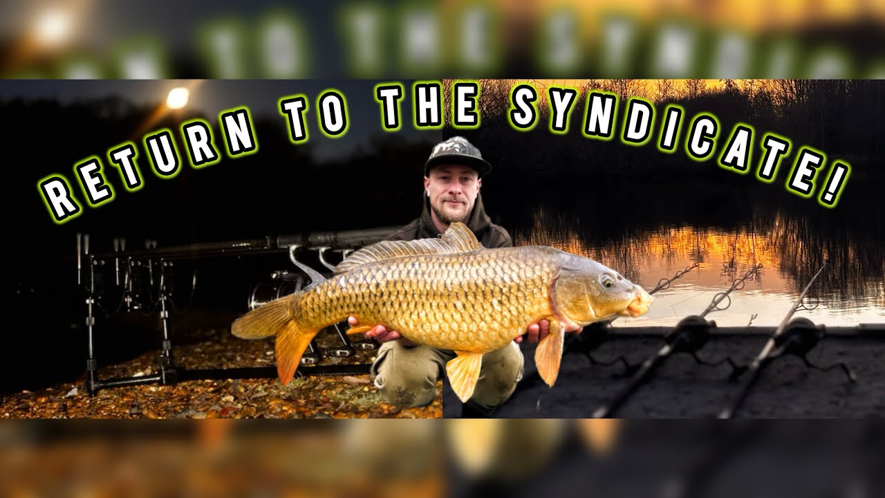 CARP FISHING, BIG CARP, WINTER CARP syndicate sessions vlog 016 