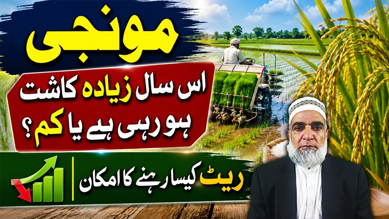 Rice Area & Price Outlook | Important Update for Farmers || Crop Reformer