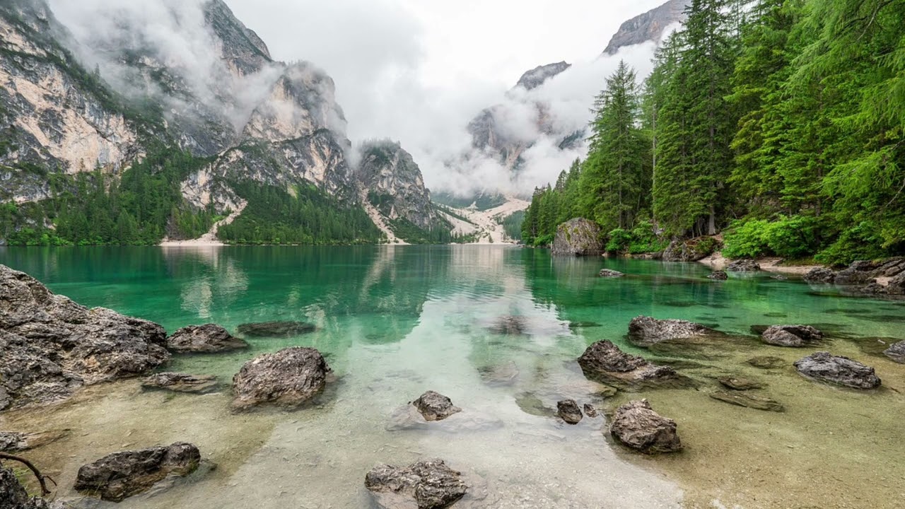 🏞️Morning Focus:🎧🎹 Calm Piano & Beautiful Nature Views