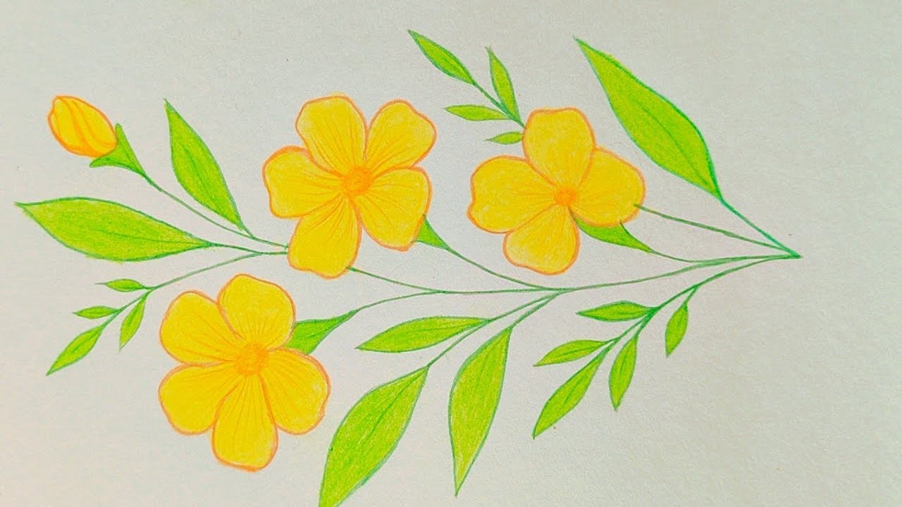 Creative Flower Drawing Tutorial for Beginners / creative Flower with colour 