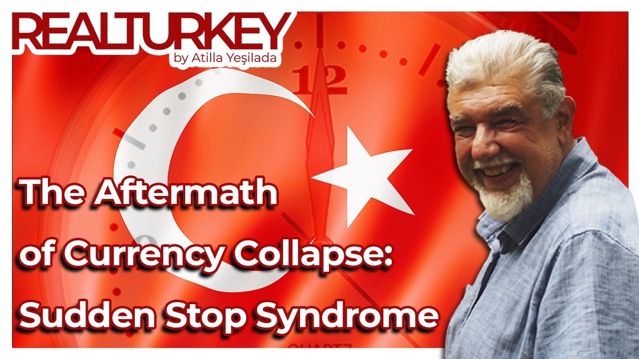 The Aftermath of Currency Collapse: Sudden Stop Syndrome