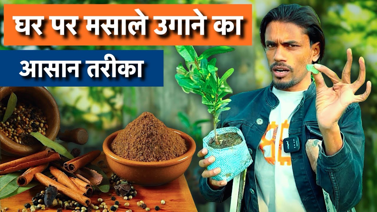 How to Grow Spices at Home 🌿 | #farming 