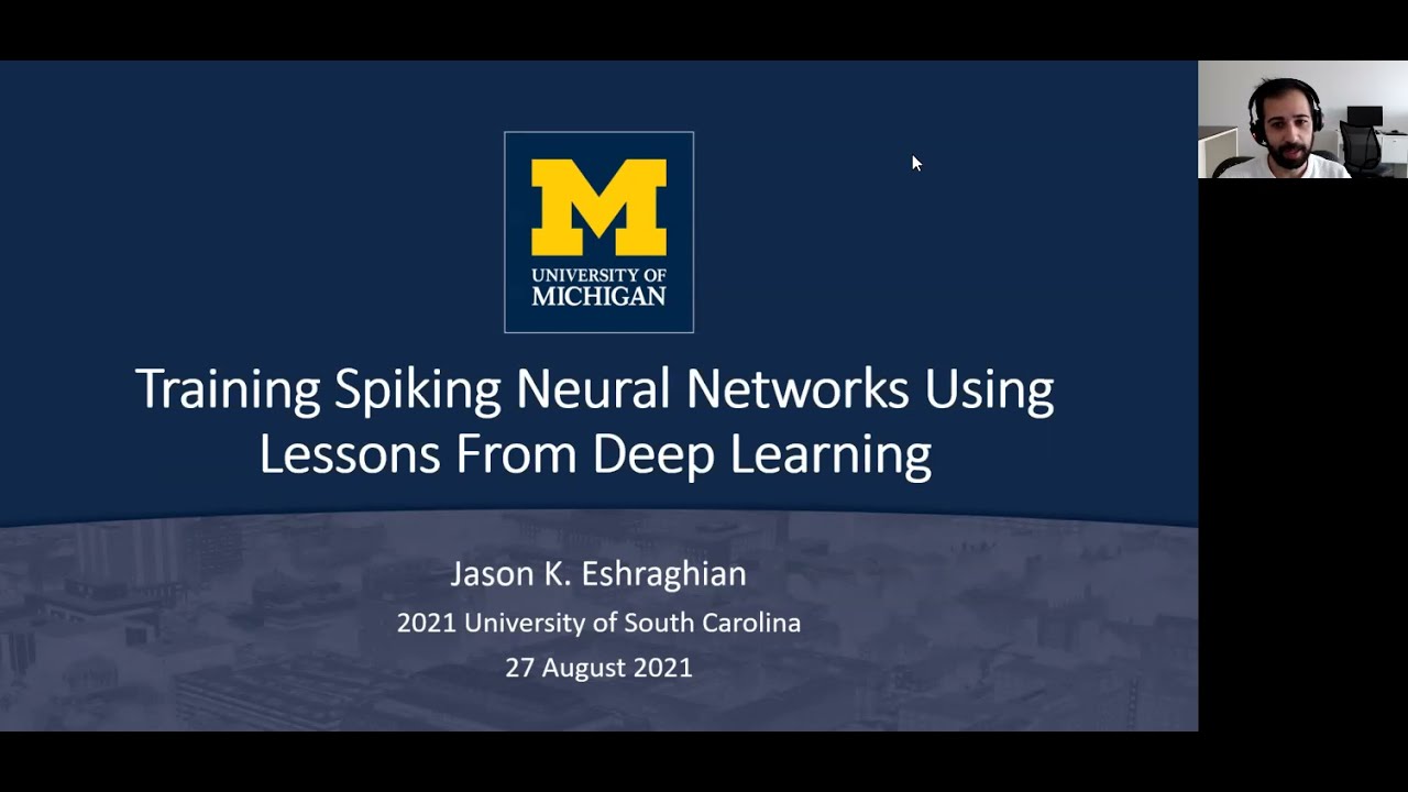 Training Spiking Neural Networks Using Lessons From Deep Learning