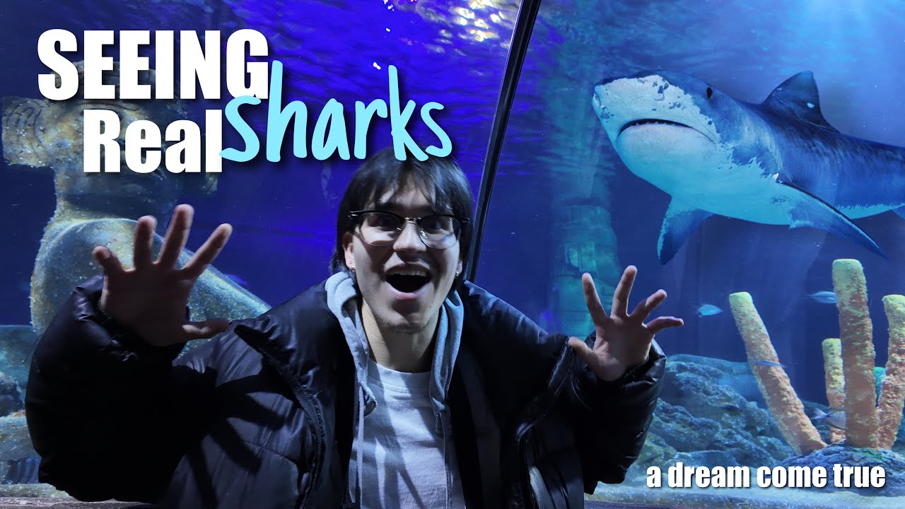Inside Sea Life | I Felt Like a Kid Again