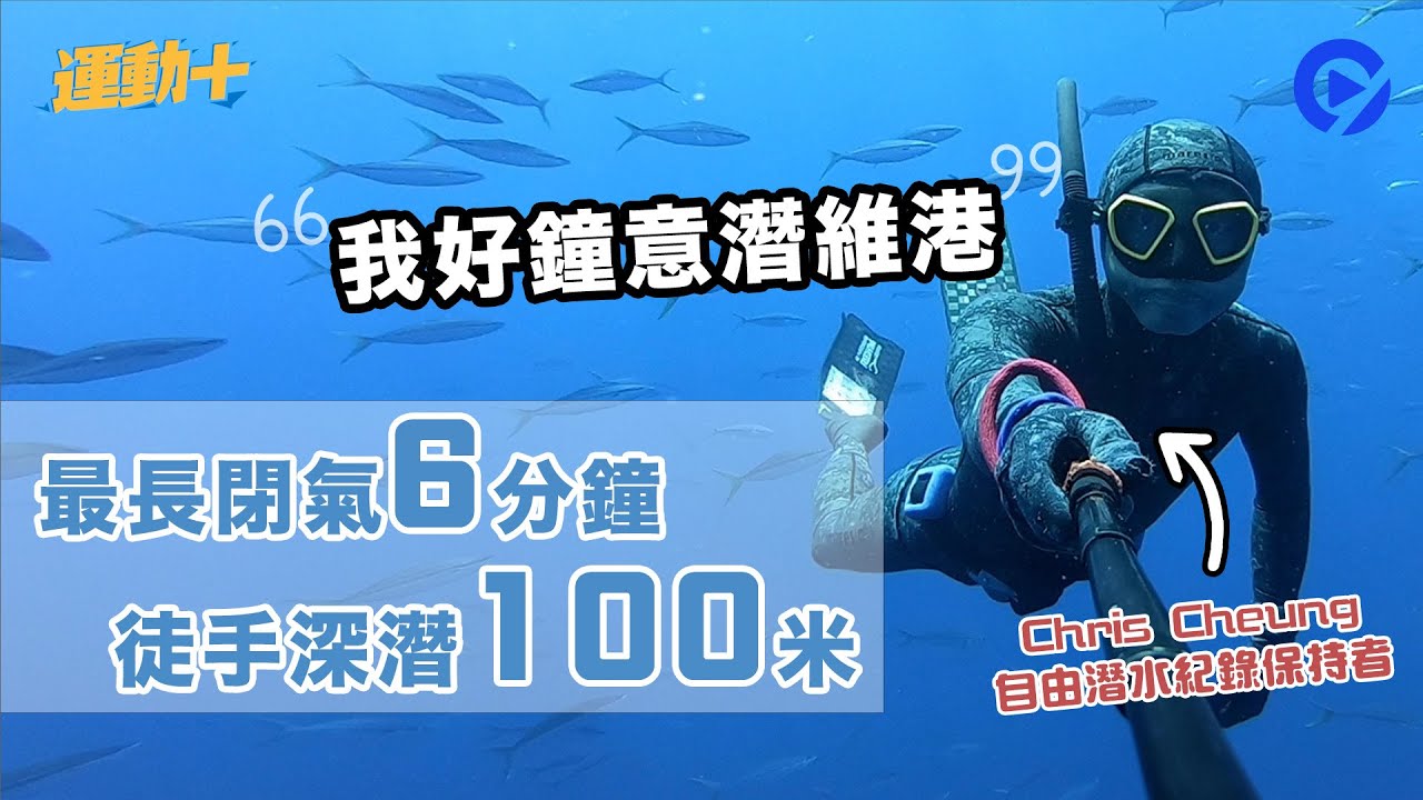 【運動＋】最長閉氣6分鐘 從手深潛100米 自由潛水達人：與海豚暢泳最難忘