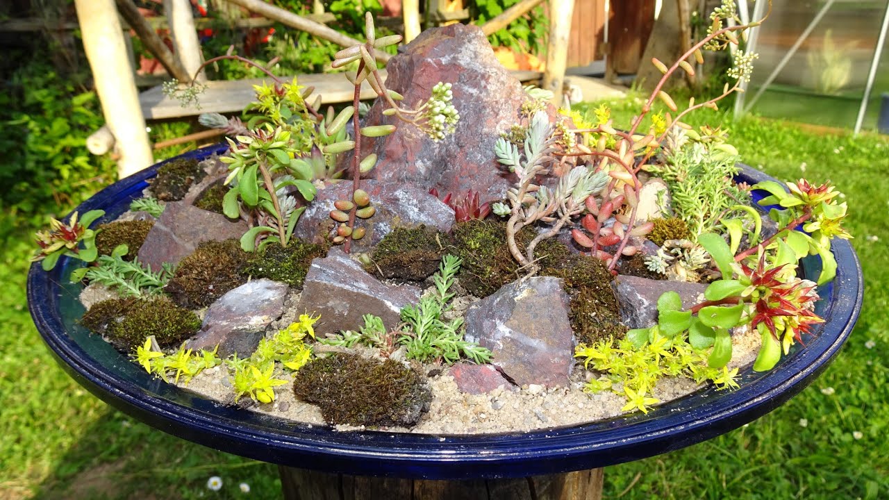 Mini Steingarten selber machen / Sukkulenten Blumentopf / DIY Mini Succulent Garden / Zen Garden