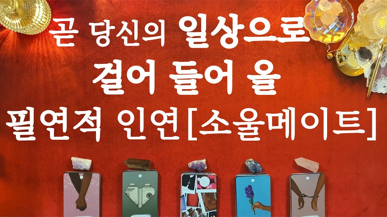 안식처가 되어줄 당신의 마지막 연인#외모#직업#성격