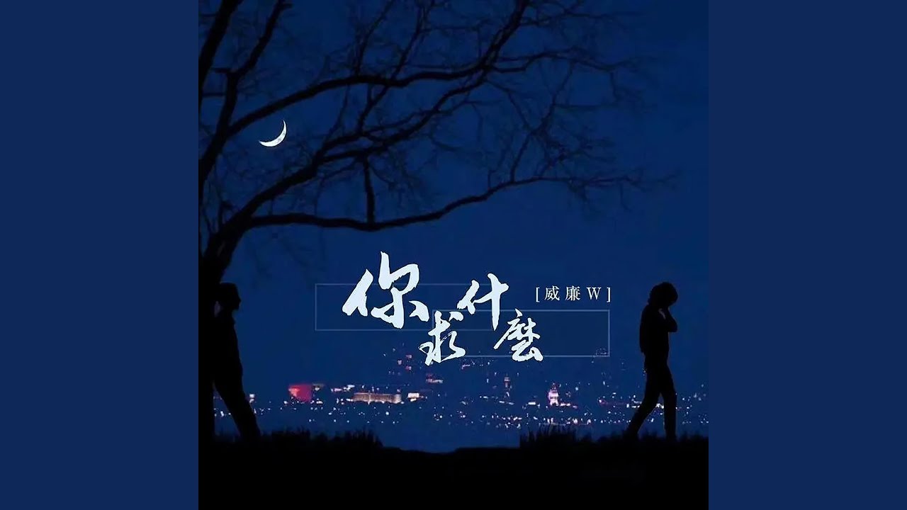 你求什么 (DJ版)