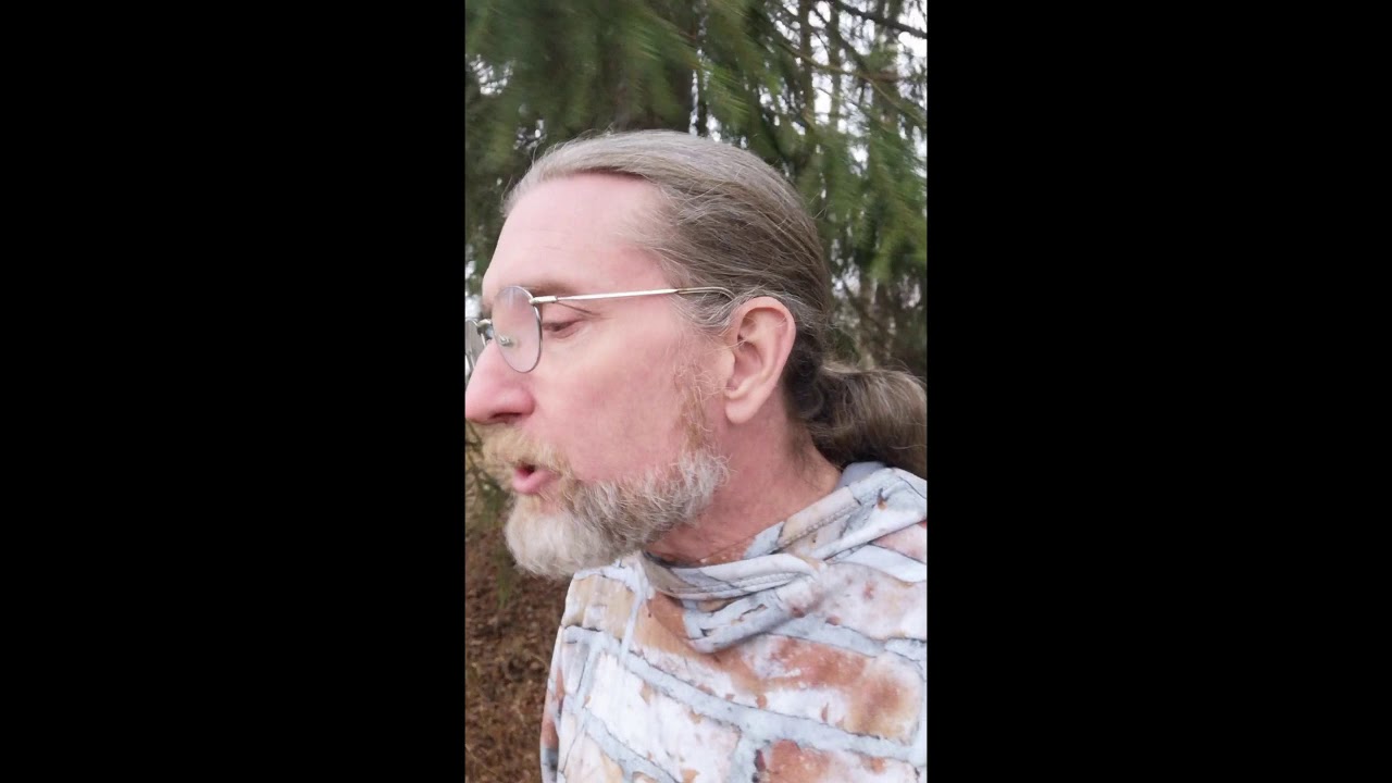 8. Trust, revocation and correction in a self-sovereign identity system