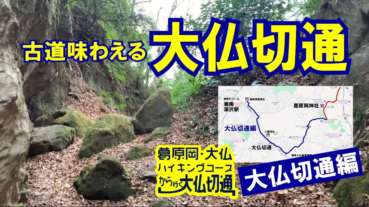 みちくさWWW｜鎌倉散歩と古道｜大仏切通　#鎌倉 #鎌倉七口 #大仏ハイキングコース