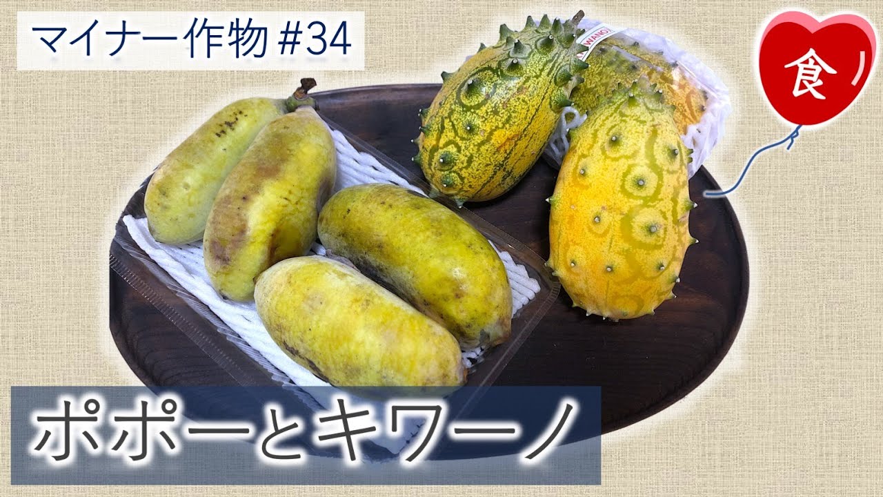[完全版] 幻のフルーツ！ポポーとキワーノ Pawpaw and Kiwano
