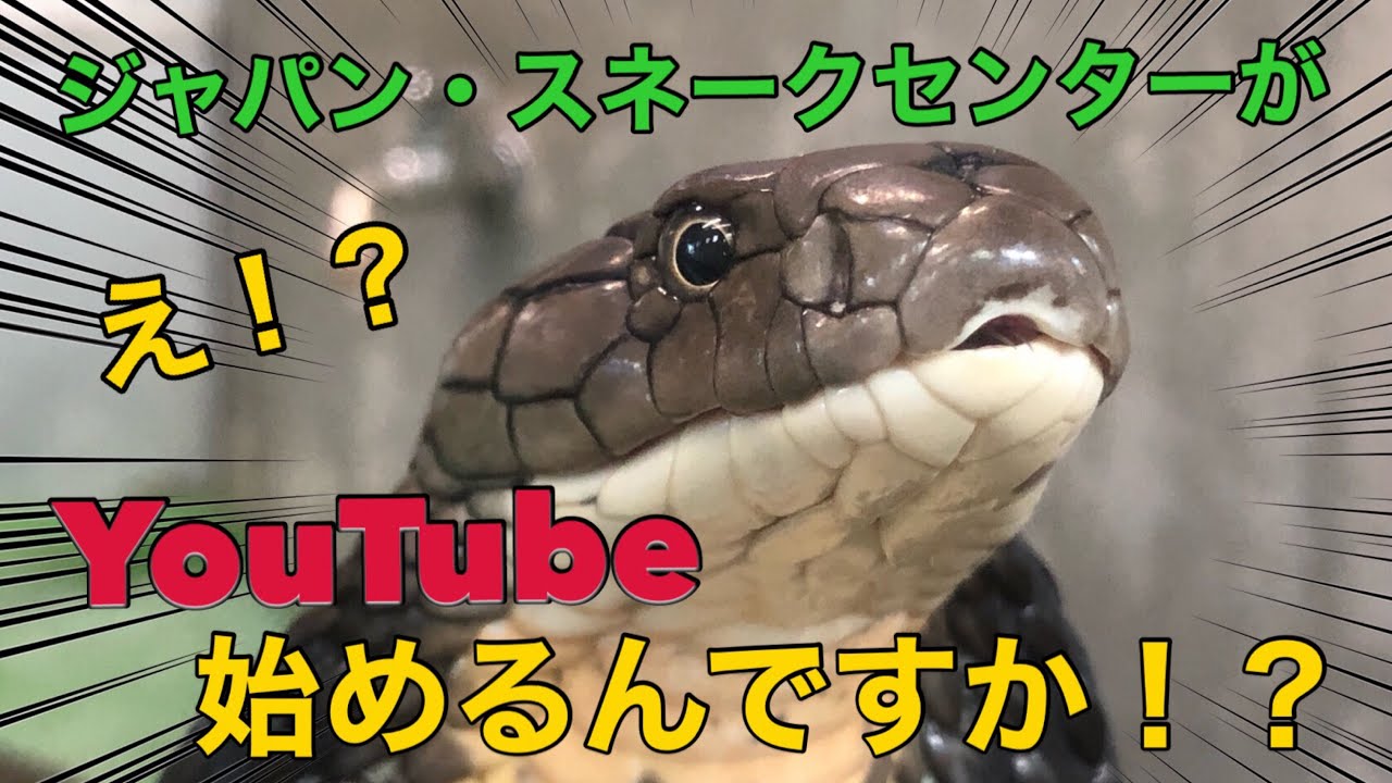 はじめまして！JSCです！