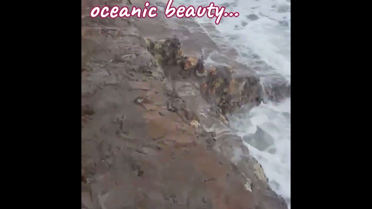 oceanic beauty