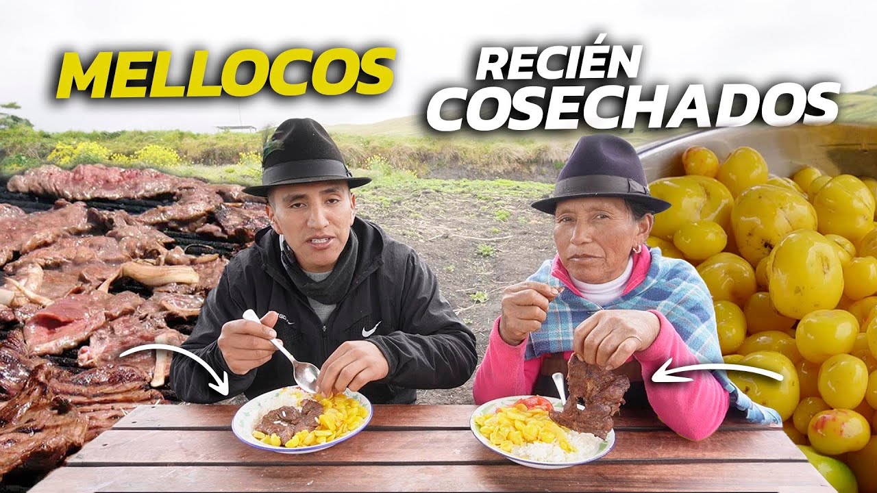 RICA ENSALADA DE MELLOCOS PARA MI HIJO | Doña Empera