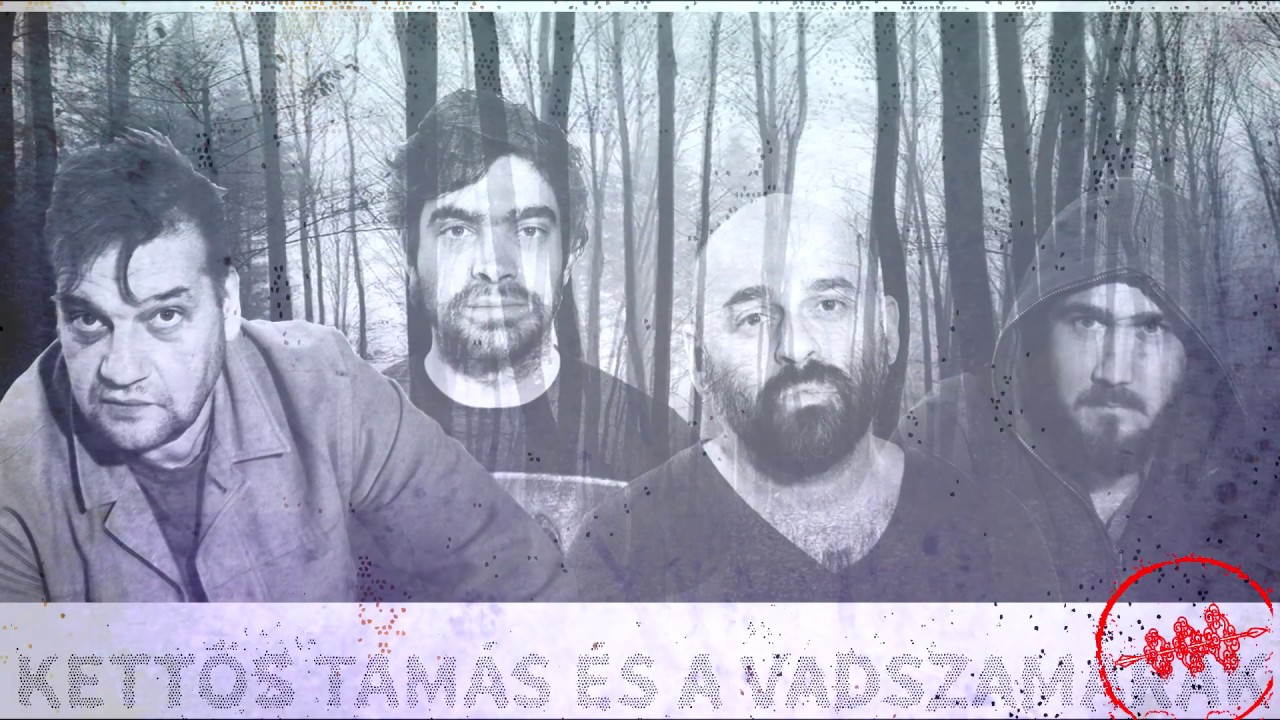 KETTŐS TAM&Aacute;S &Eacute;S A VADSZAMARAK - F&Uuml;TTY&Ouml;S