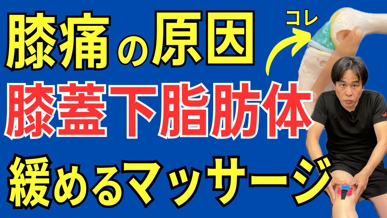 【変形性膝関節症】膝の痛みを和らげる、膝のお皿の脂肪「膝蓋下脂肪体」のマッサージ方法教えます  |  大阪市都島区 さかとう整骨院#060